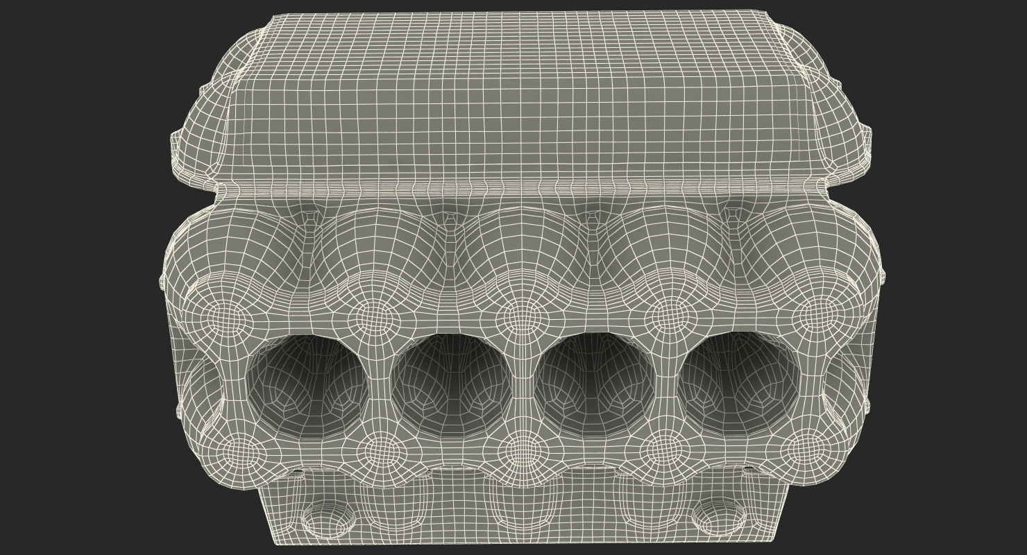 3D Open Ten Eggs Package