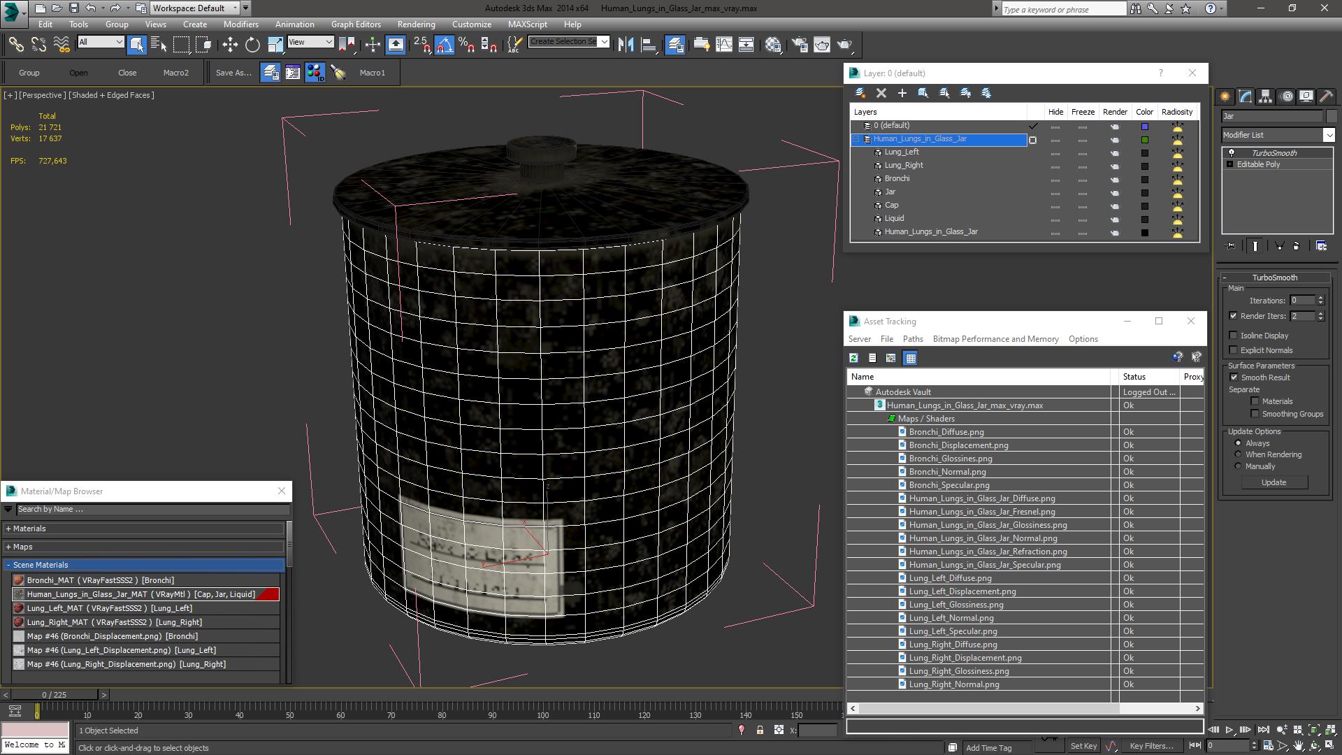 Human Lungs in Glass Jar 3D model
