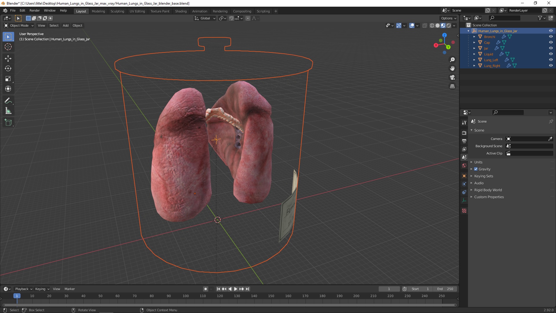 Human Lungs in Glass Jar 3D model