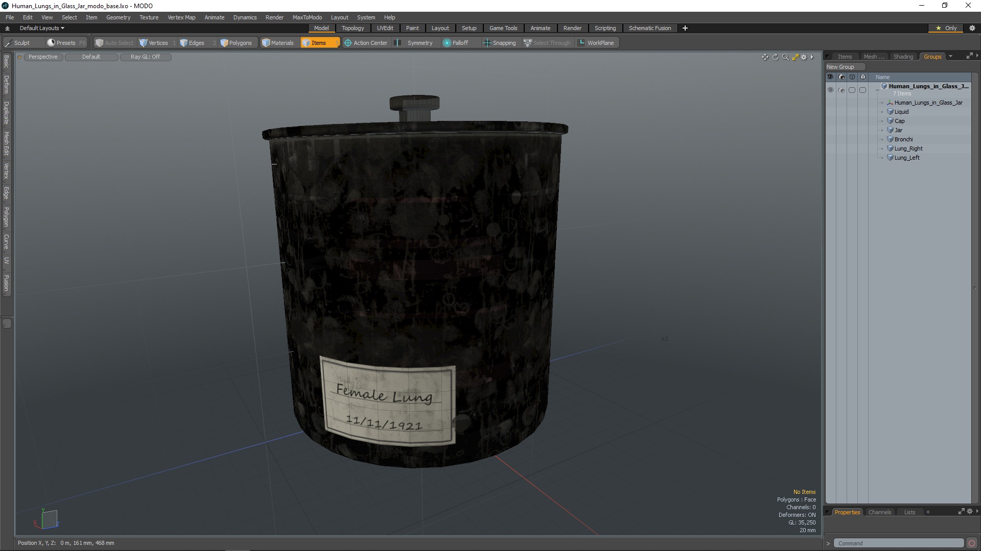 Human Lungs in Glass Jar 3D model