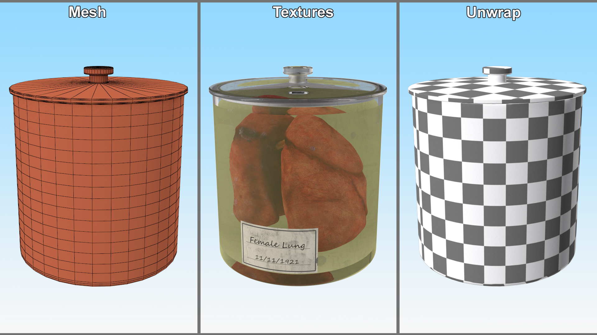 Human Lungs in Glass Jar 3D model