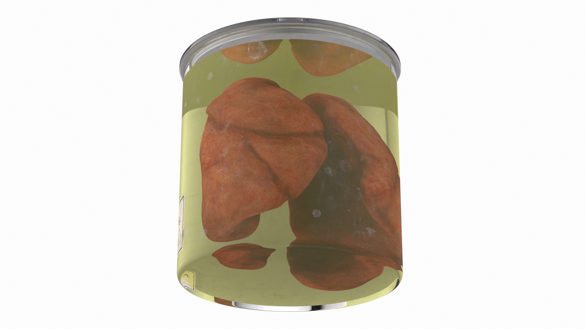 Human Lungs in Glass Jar 3D model