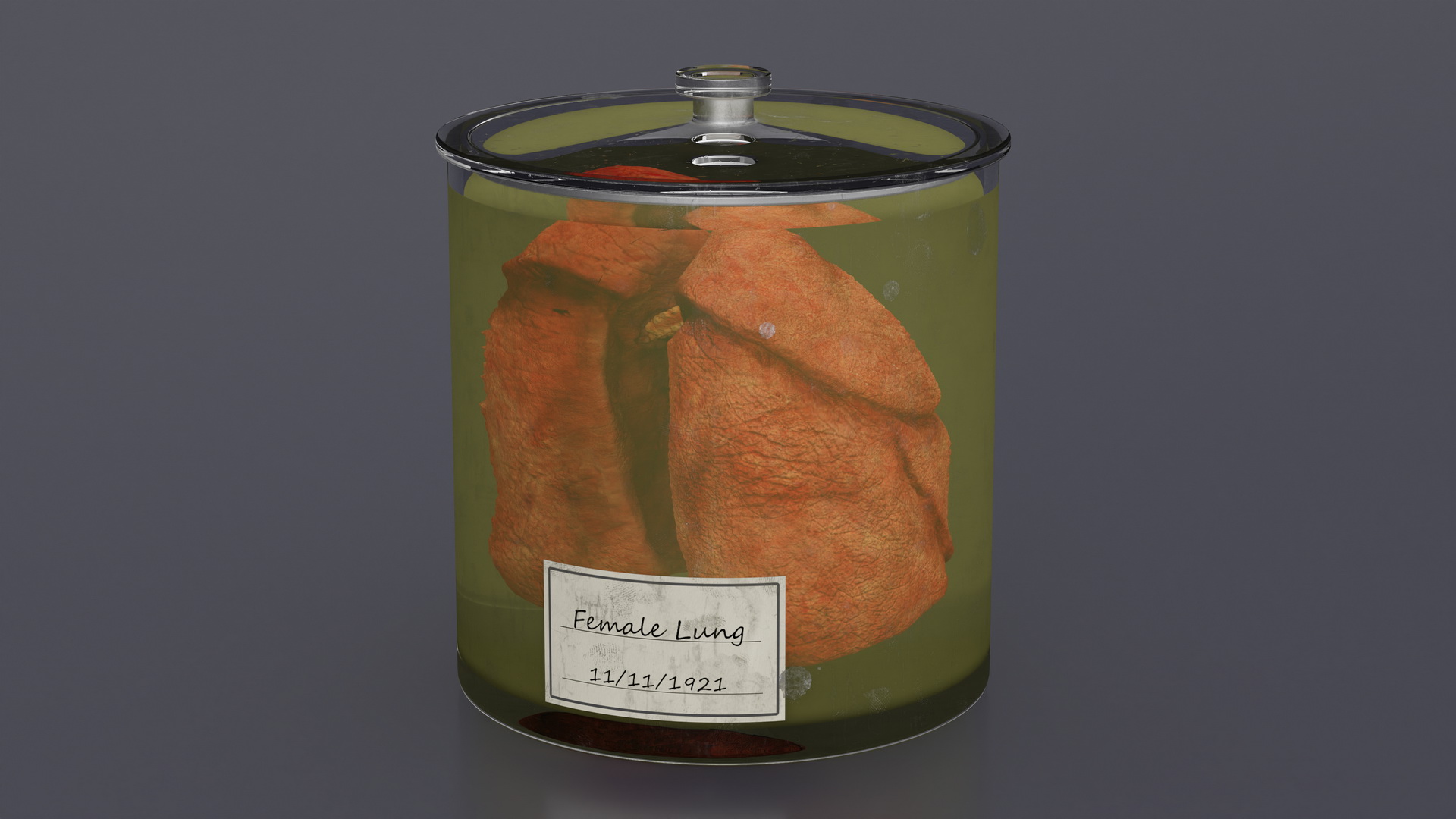 Human Lungs in Glass Jar 3D model