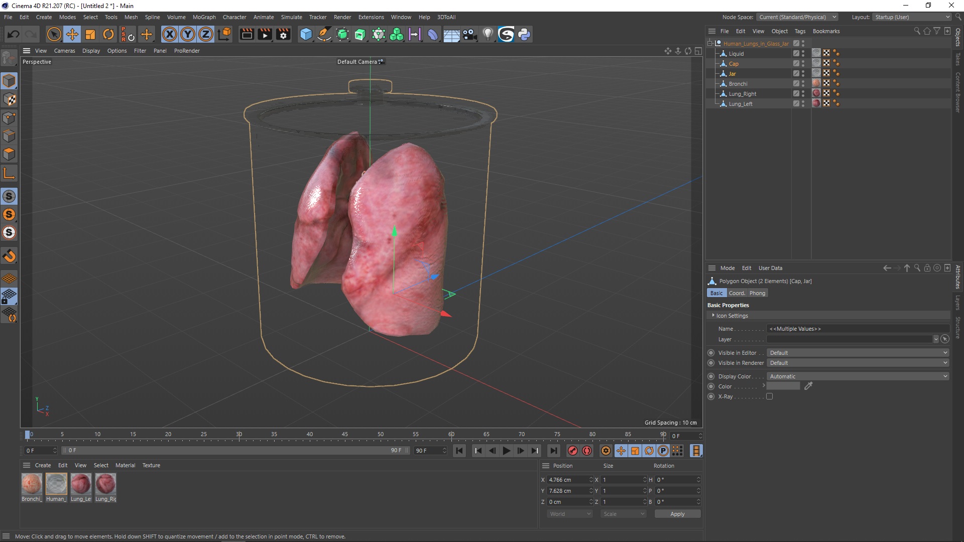 Human Lungs in Glass Jar 3D model