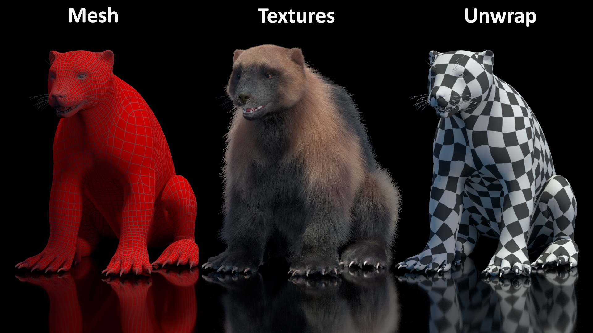 3D Wolverine Light Color Sitting Pose Fur model
