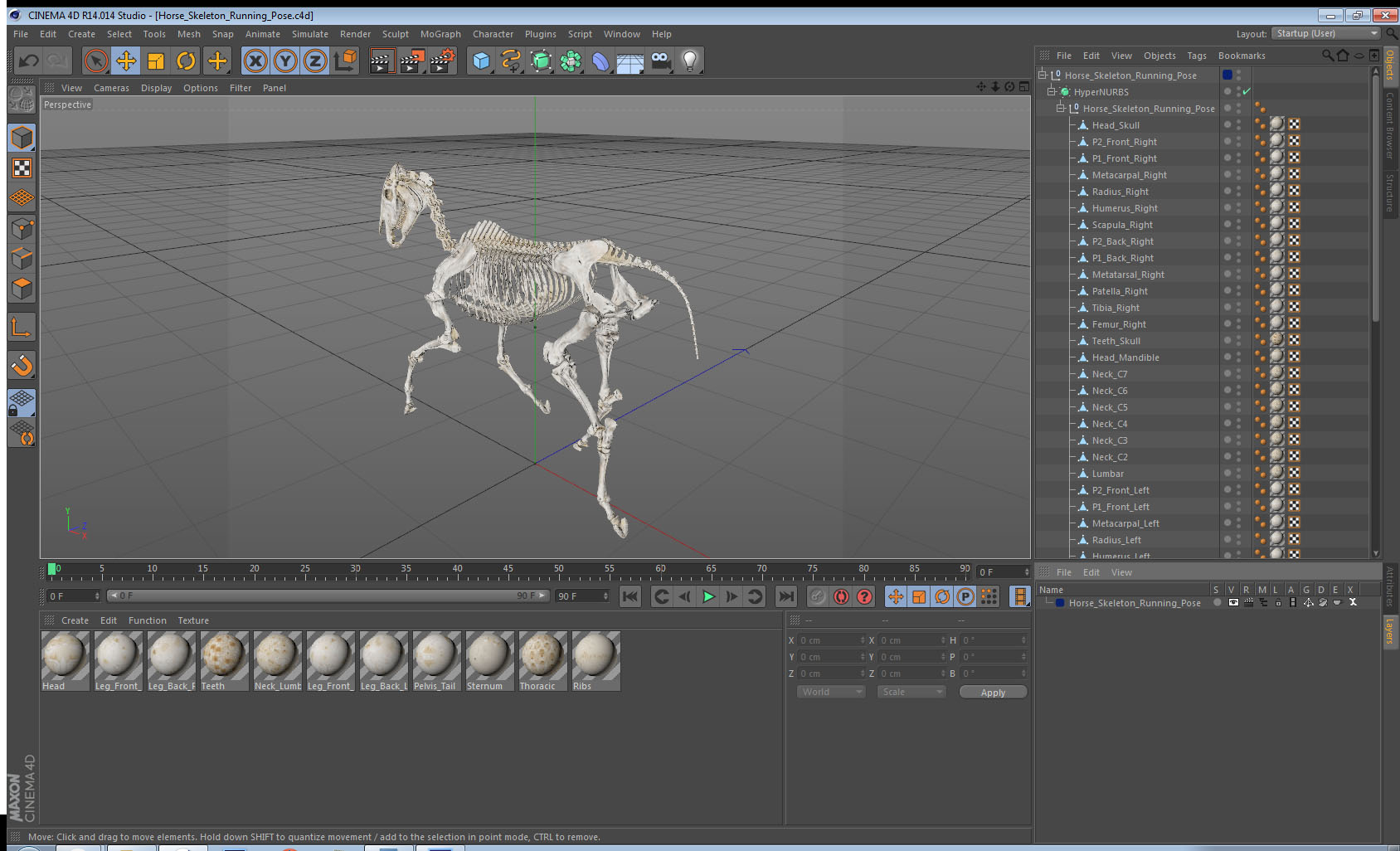 Horse Skeleton Running Pose 3D