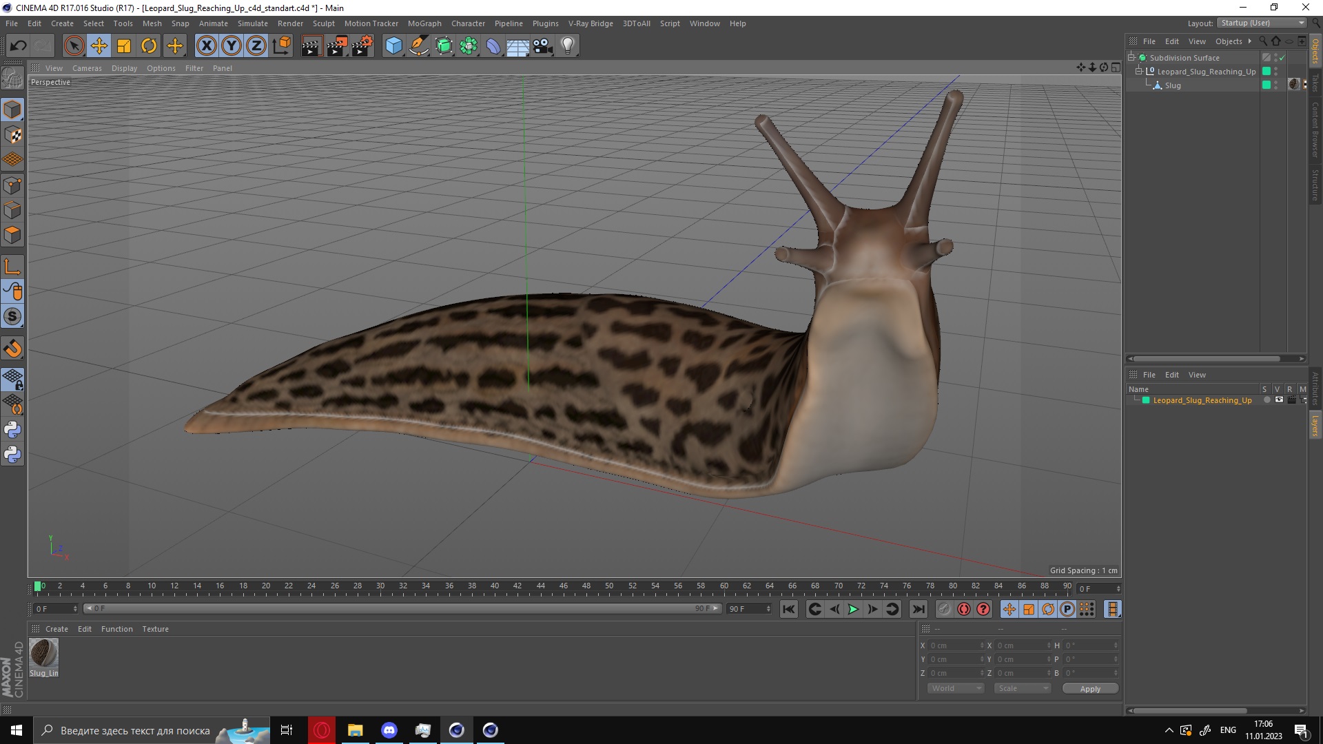 Leopard Slug Reaching Up 3D model