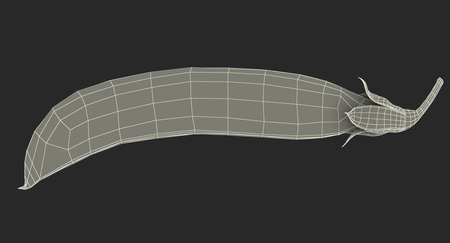 3D model Fresh Pea Pod Closed