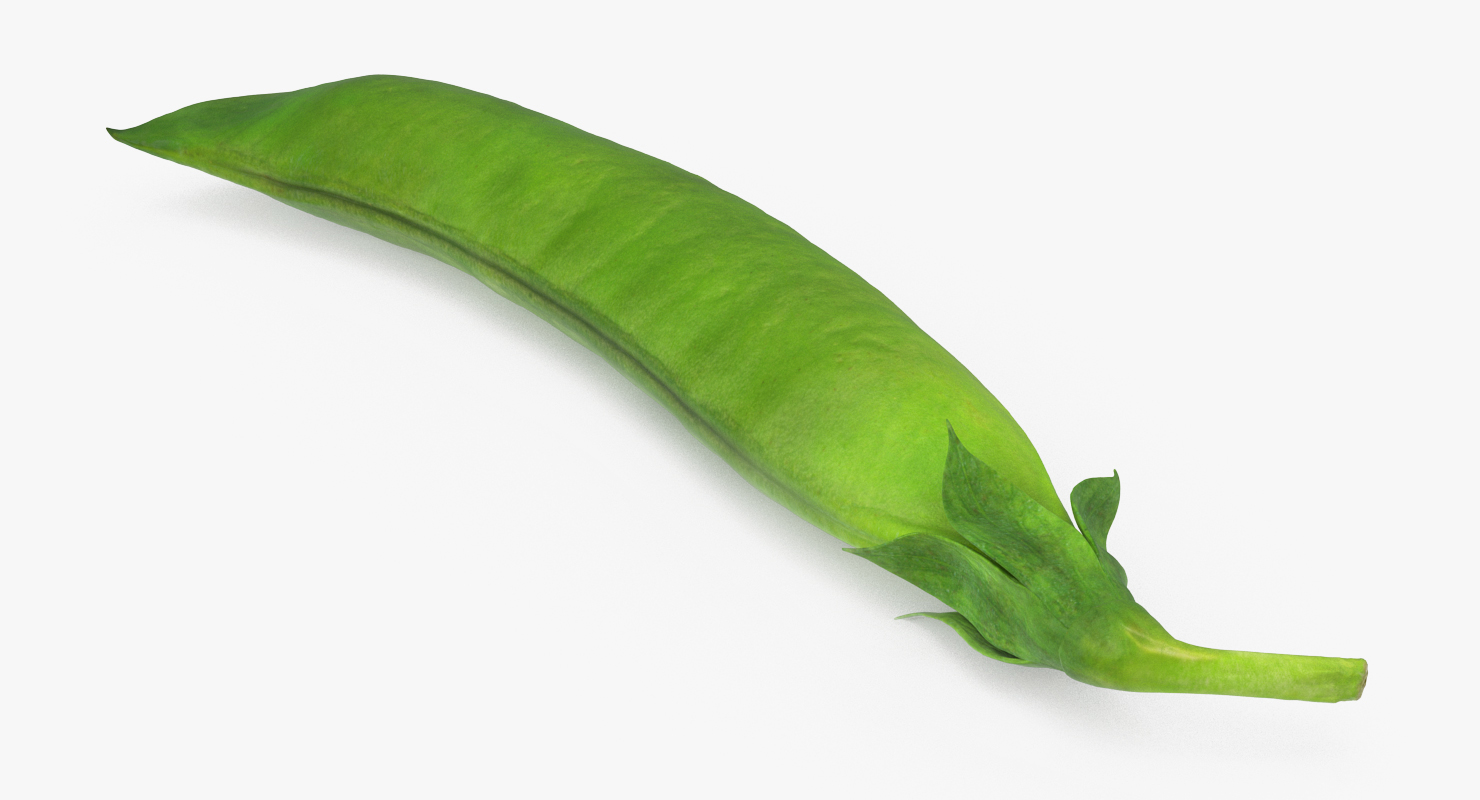3D model Fresh Pea Pod Closed