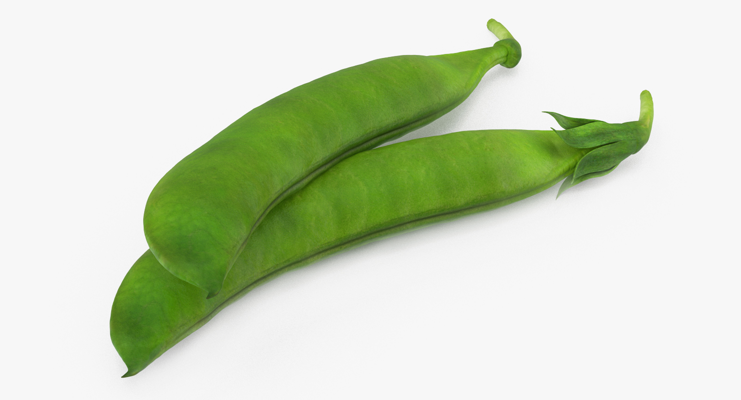 3D model Fresh Pea Pod Closed