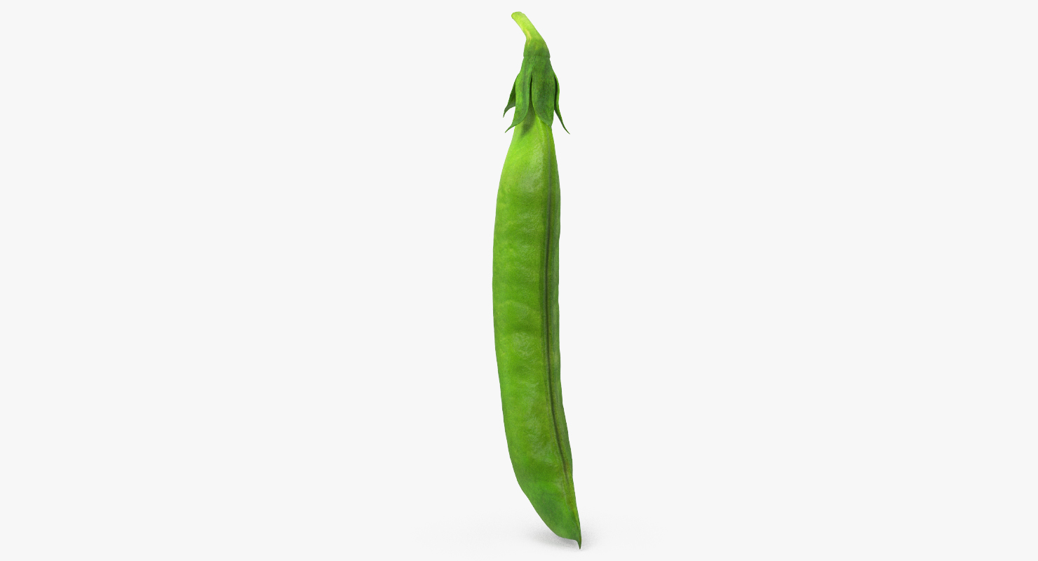 3D model Fresh Pea Pod Closed