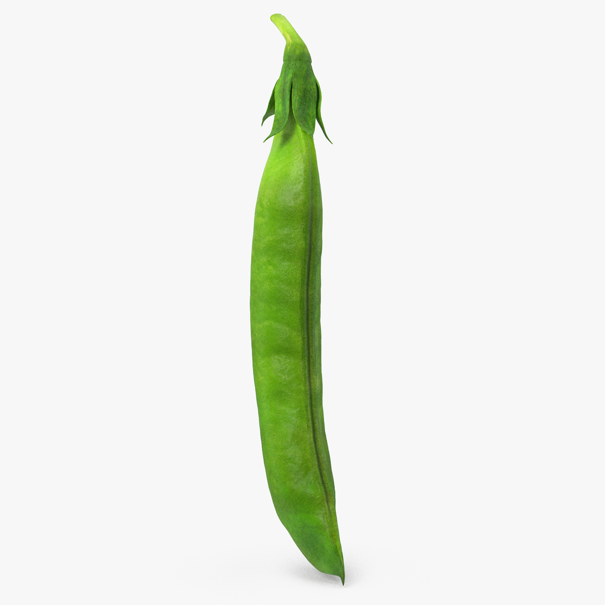 Fresh Pea Pod Closed