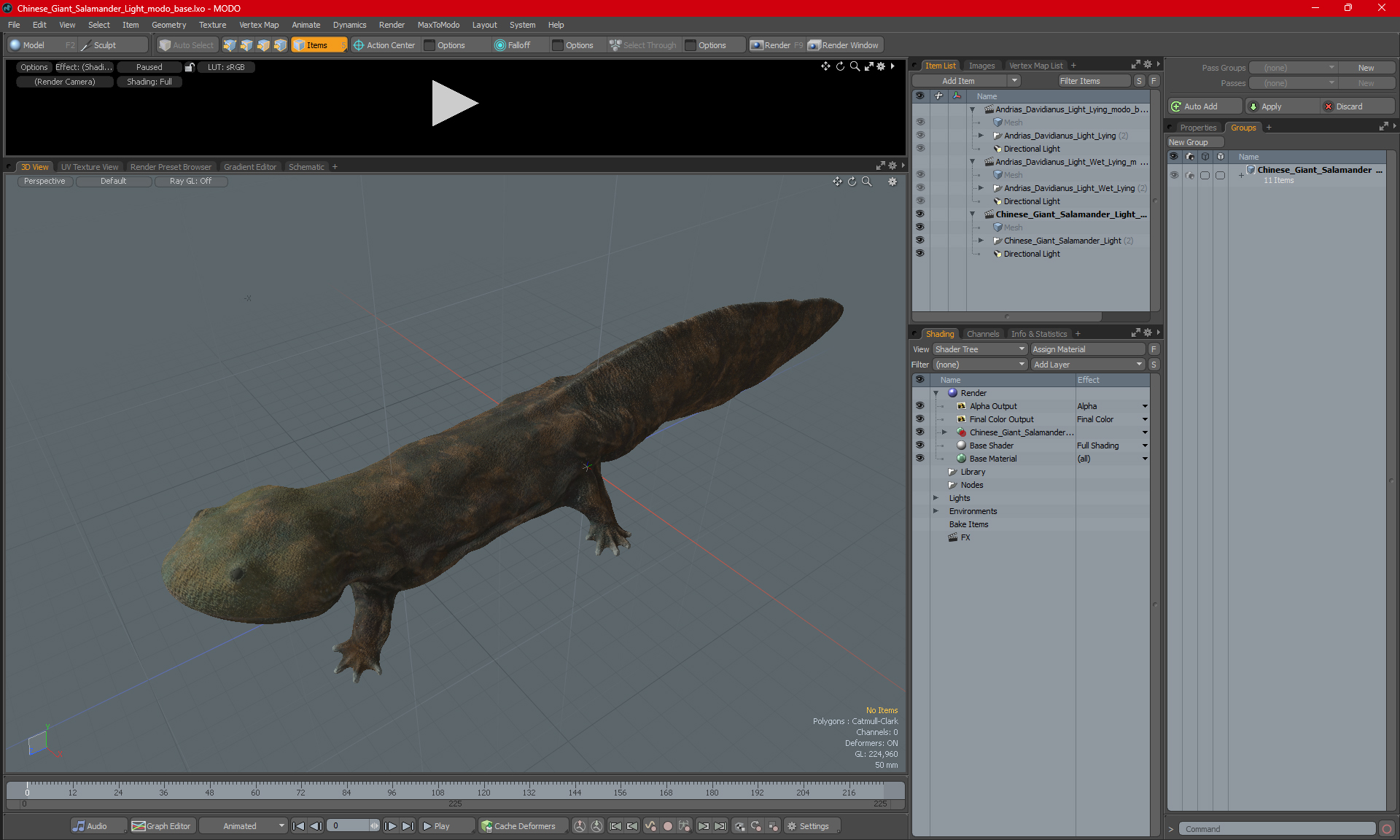 3D model Chinese Giant Salamander Light