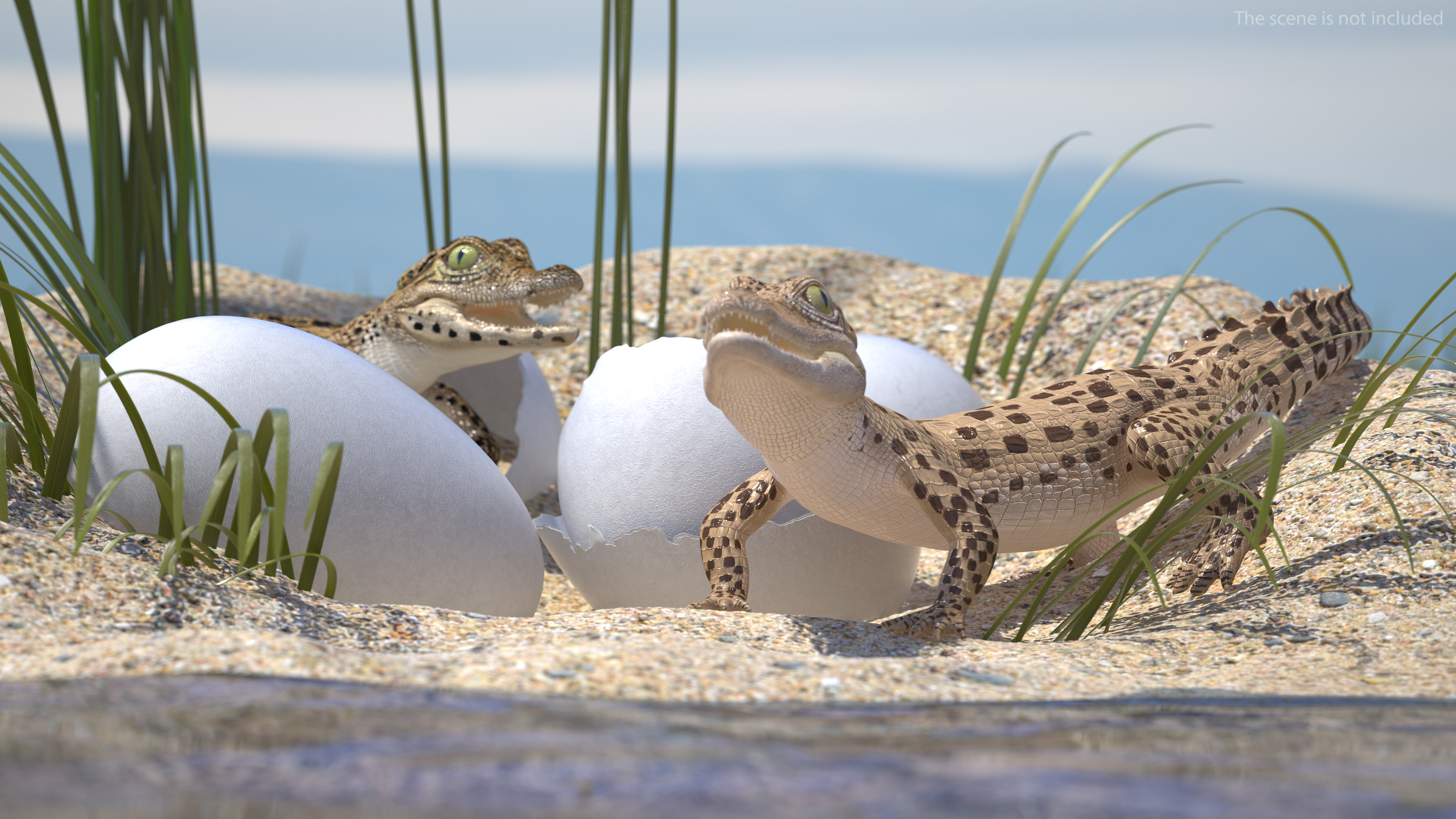 3D model Baby Crocodiles Nest