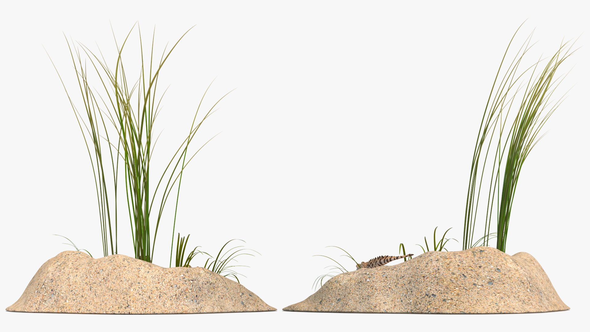 3D model Baby Crocodiles Nest