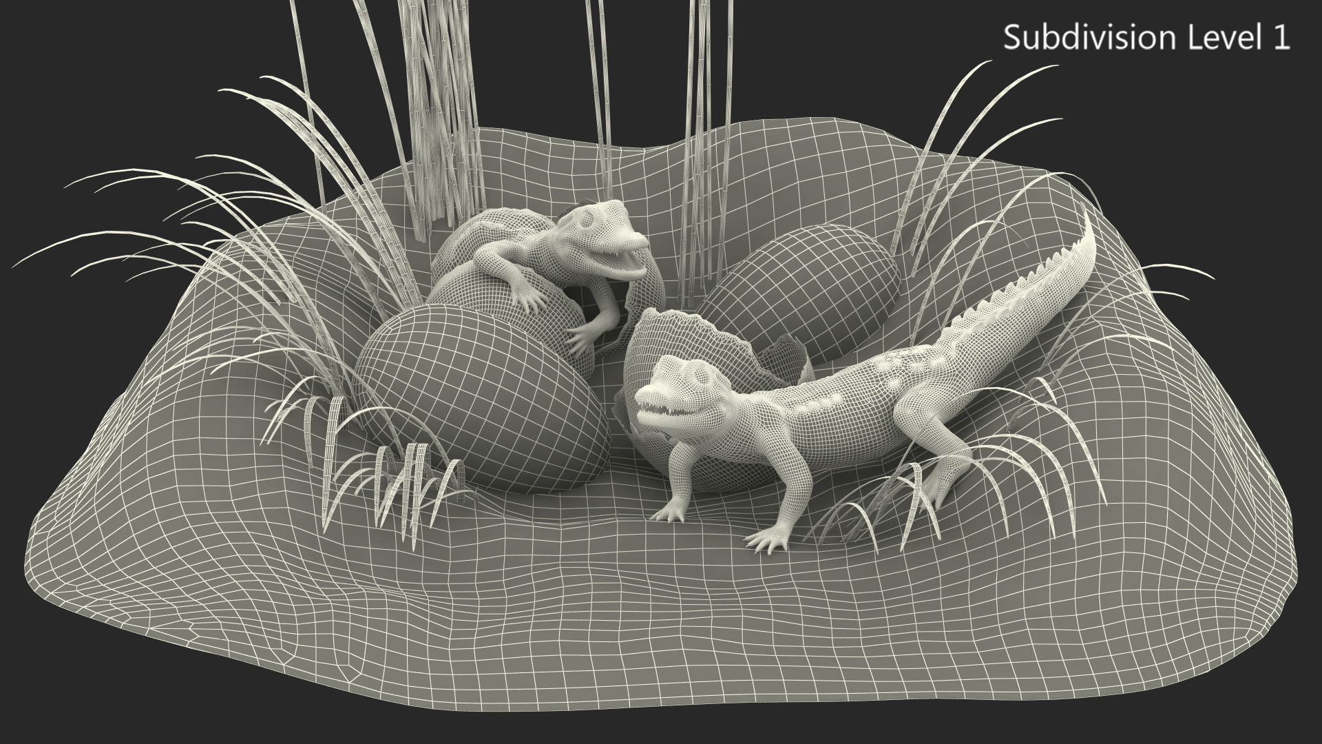 3D model Baby Crocodiles Nest