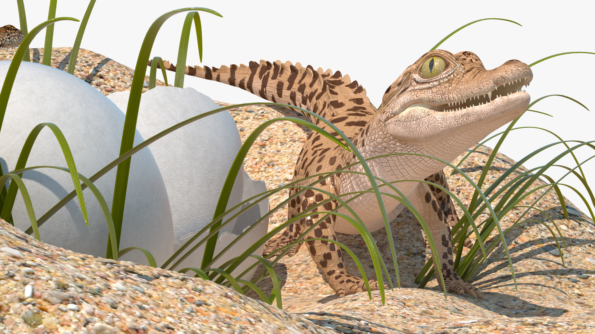 3D model Baby Crocodiles Nest