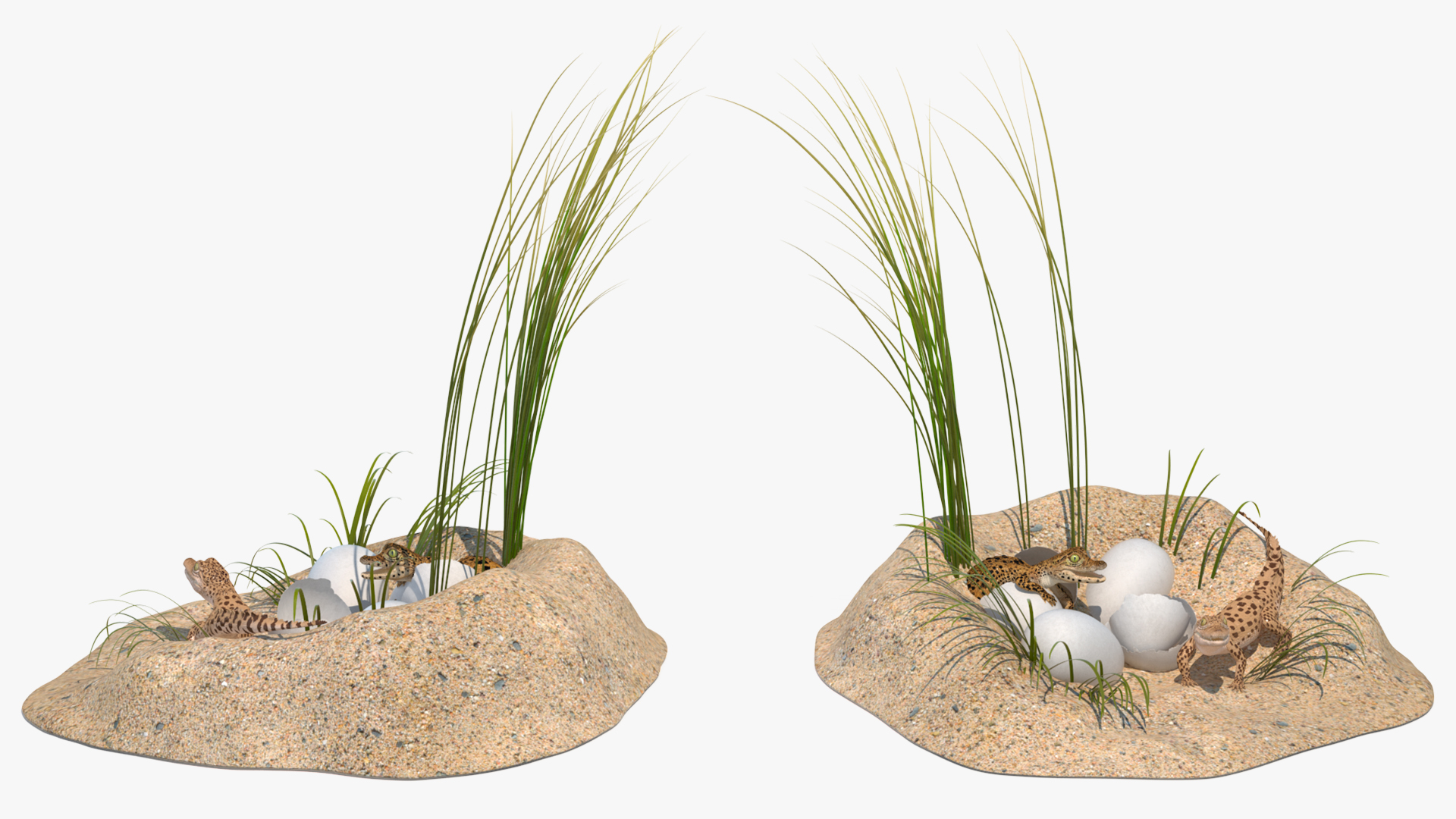 3D model Baby Crocodiles Nest