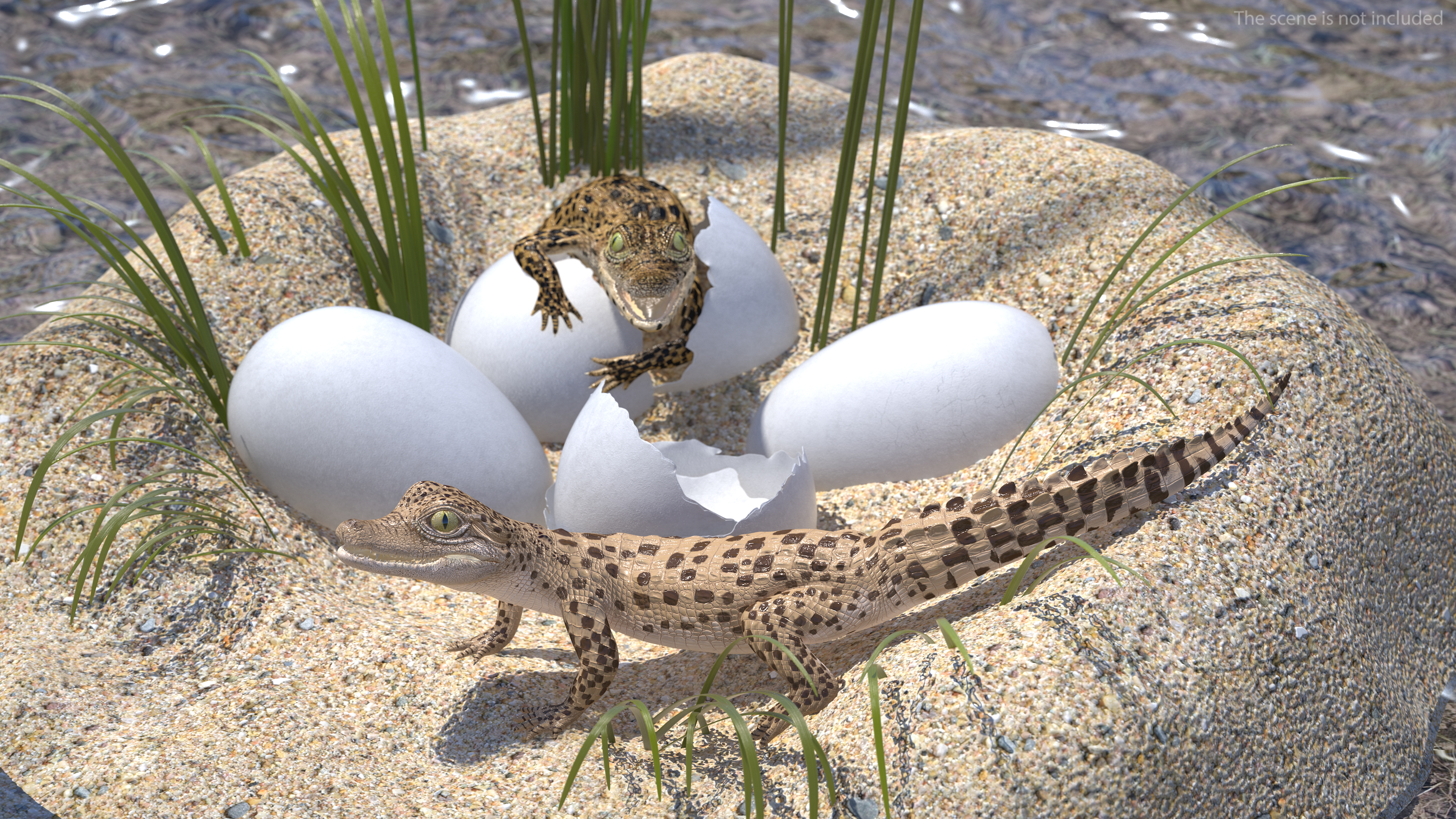 3D model Baby Crocodiles Nest