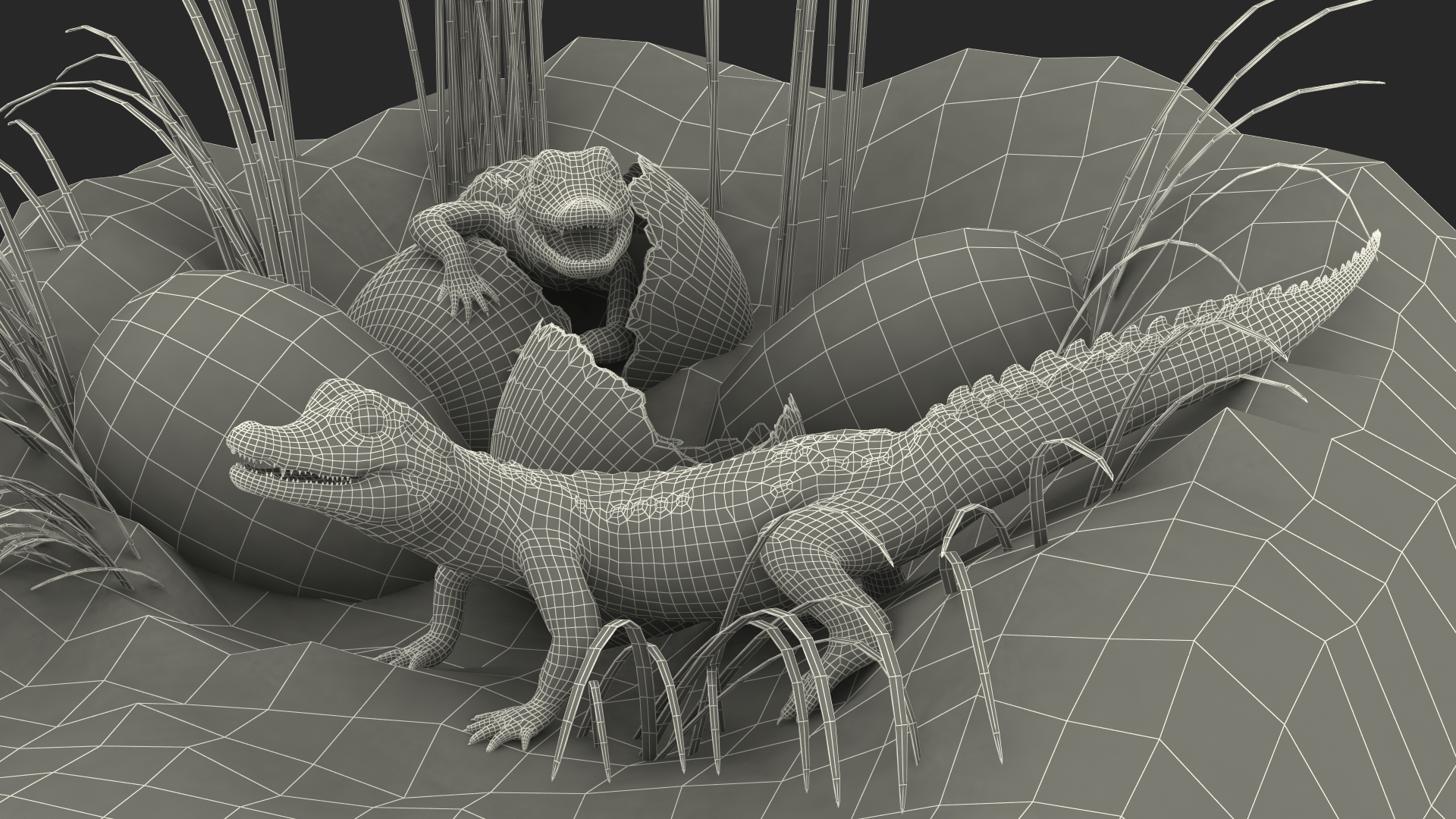 3D model Baby Crocodiles Nest