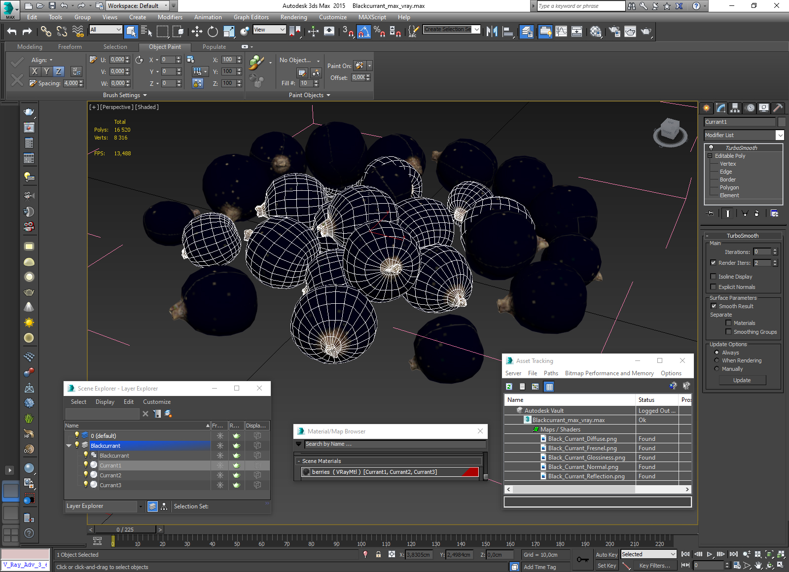 Blackcurrant 3D