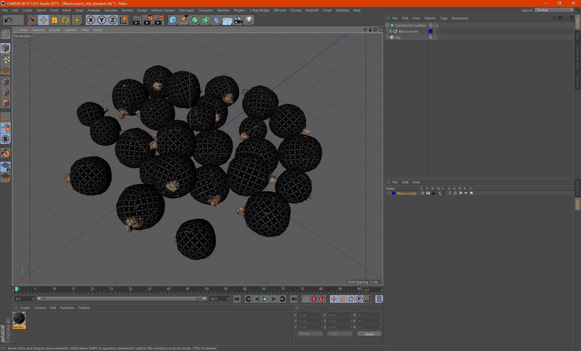 Blackcurrant 3D
