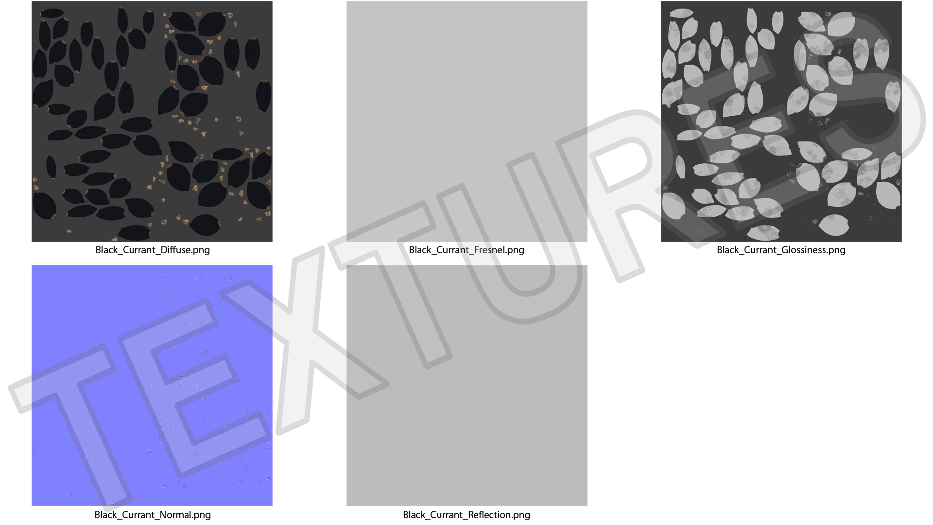 Blackcurrant 3D