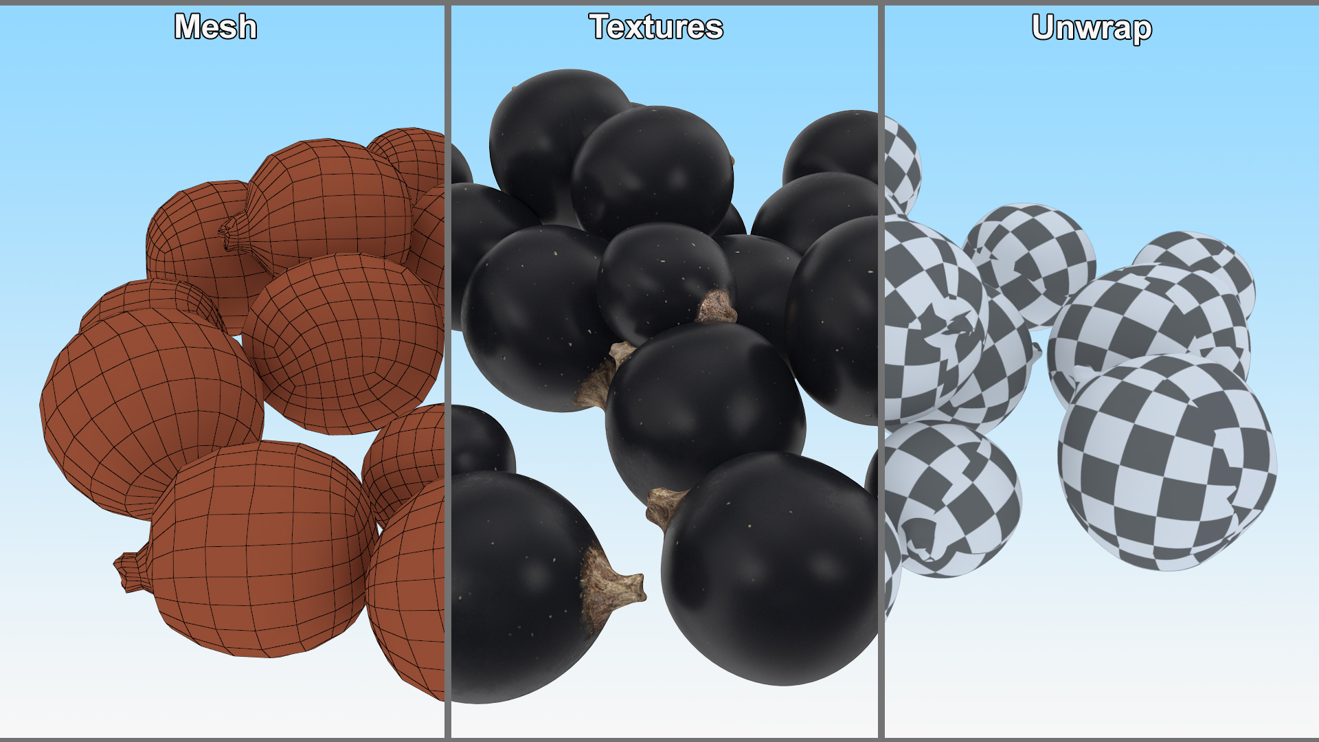 Blackcurrant 3D