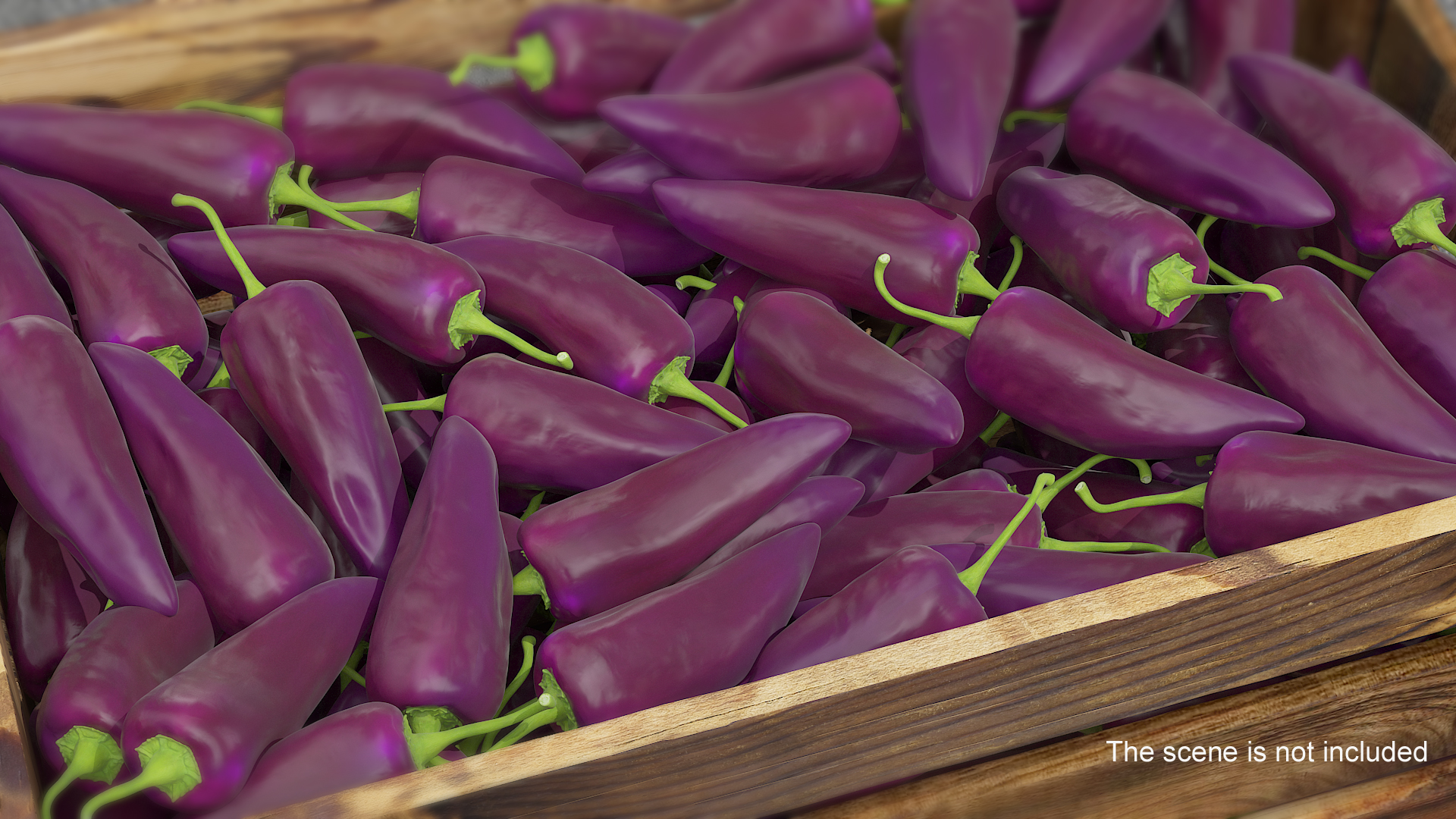 Purple Chili Pepper 3D model