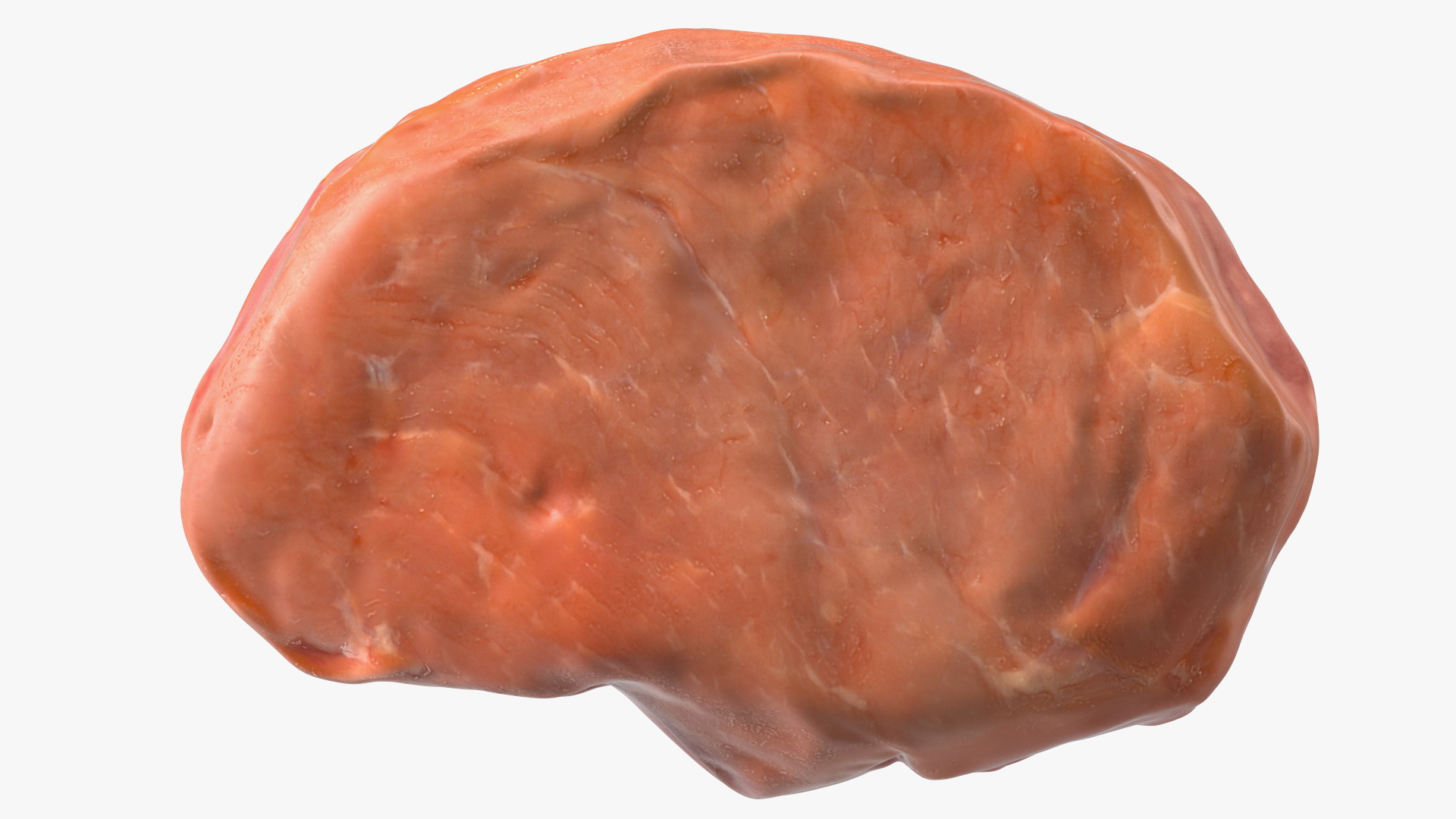 Raw Steak 3D model