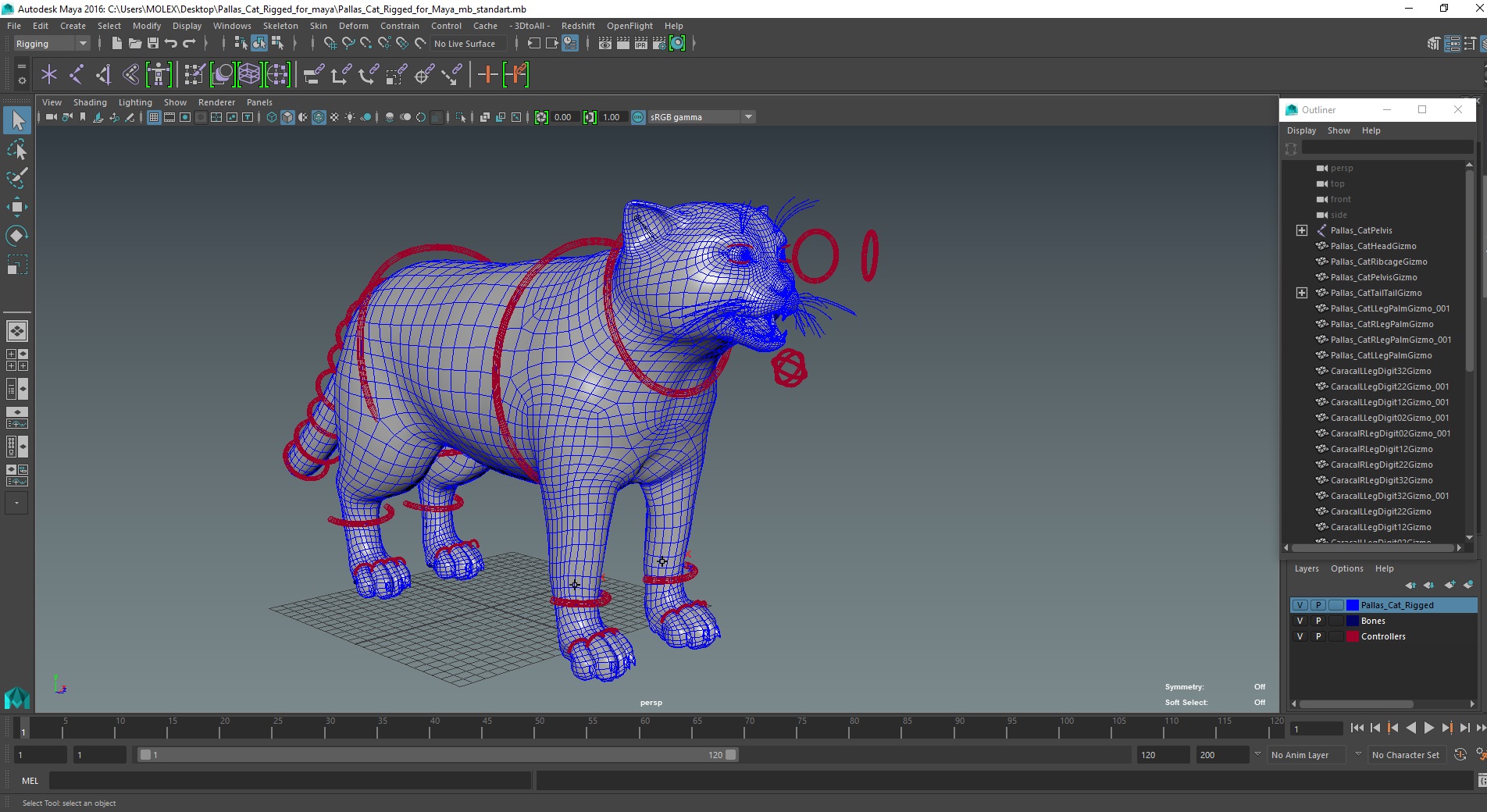 3D Pallas Cat Rigged for Maya