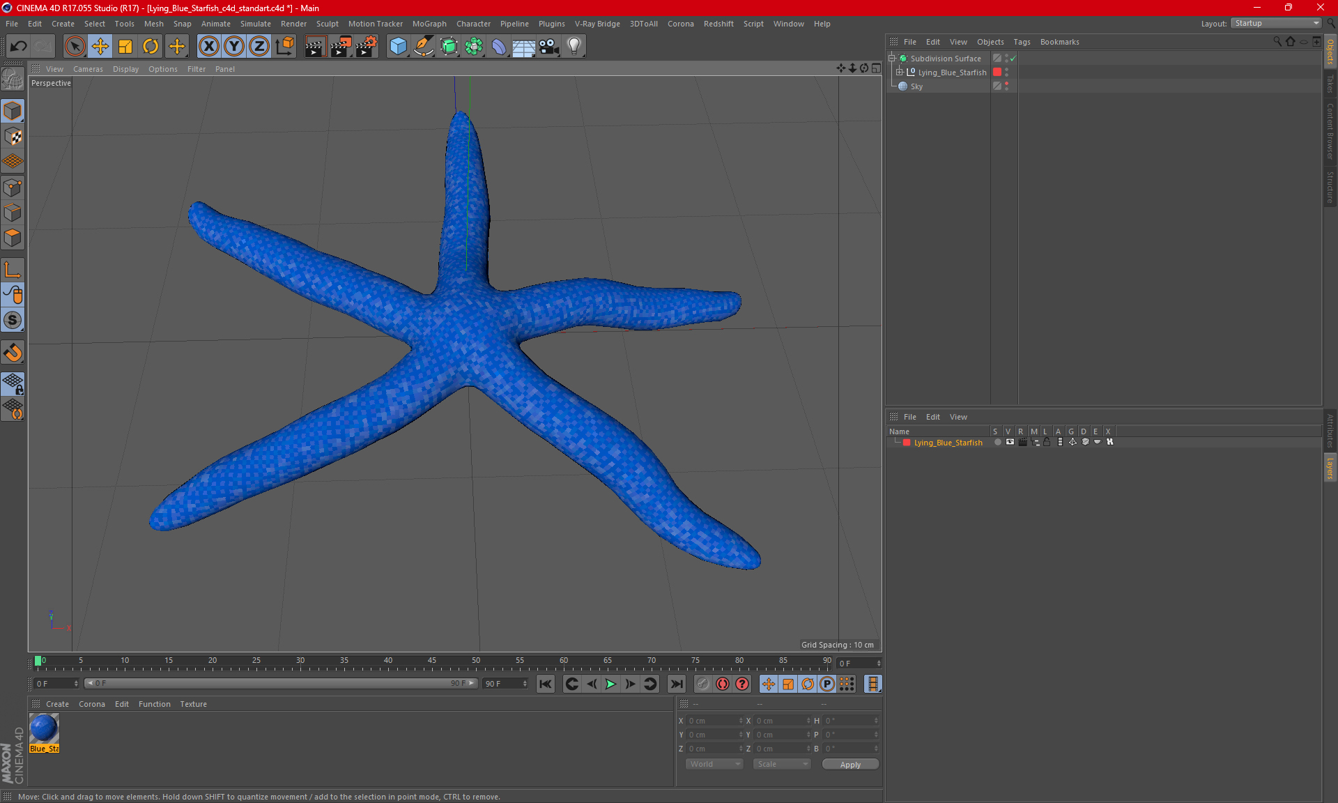 Lying Blue Starfish 3D model