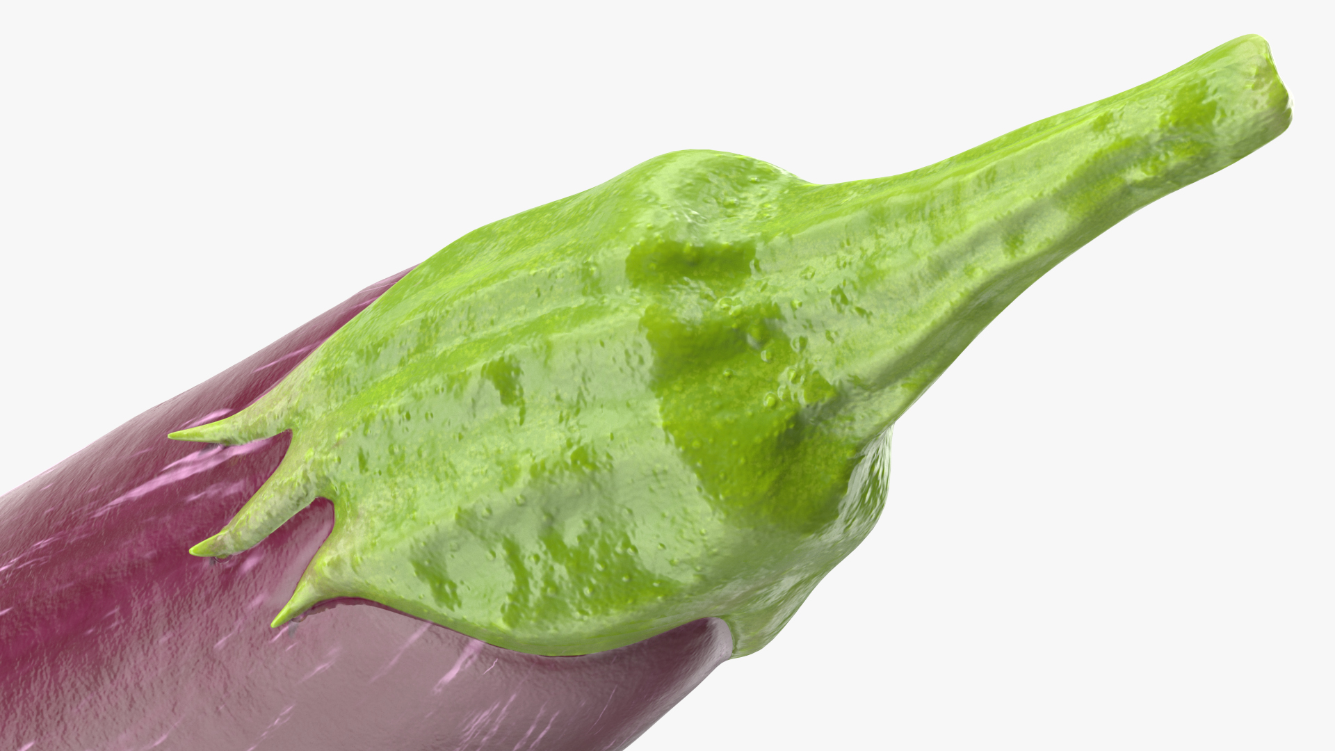 3D Listada de Gandia Eggplant