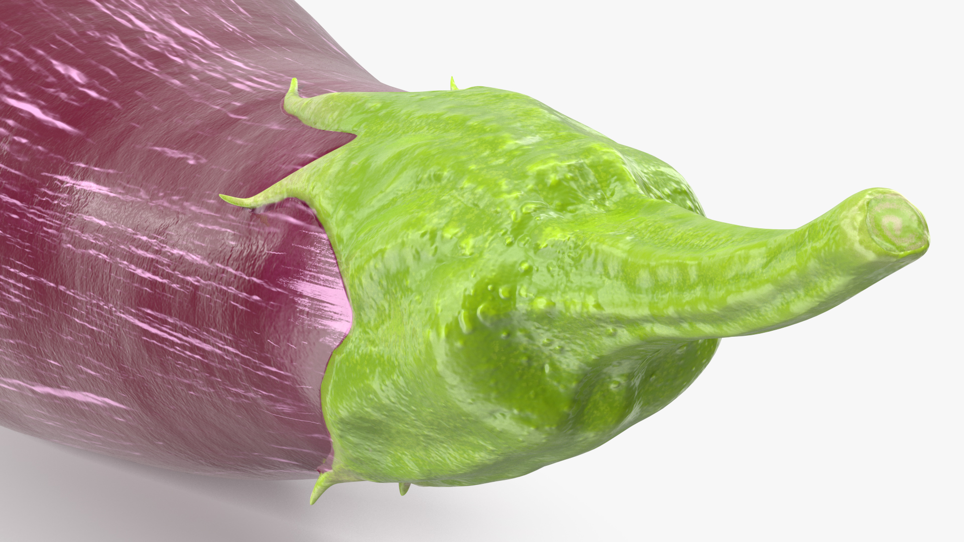 3D Listada de Gandia Eggplant