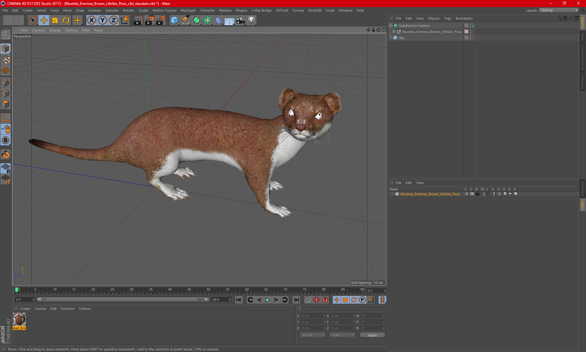 3D model Mustela Erminea Brown Lifelike Pose