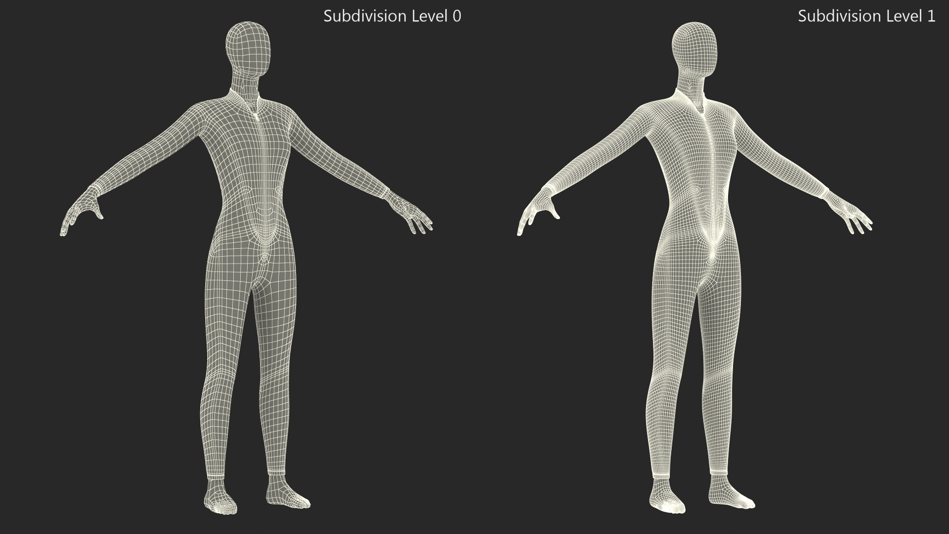 3D Woman Wetsuit Cressi Full Version model