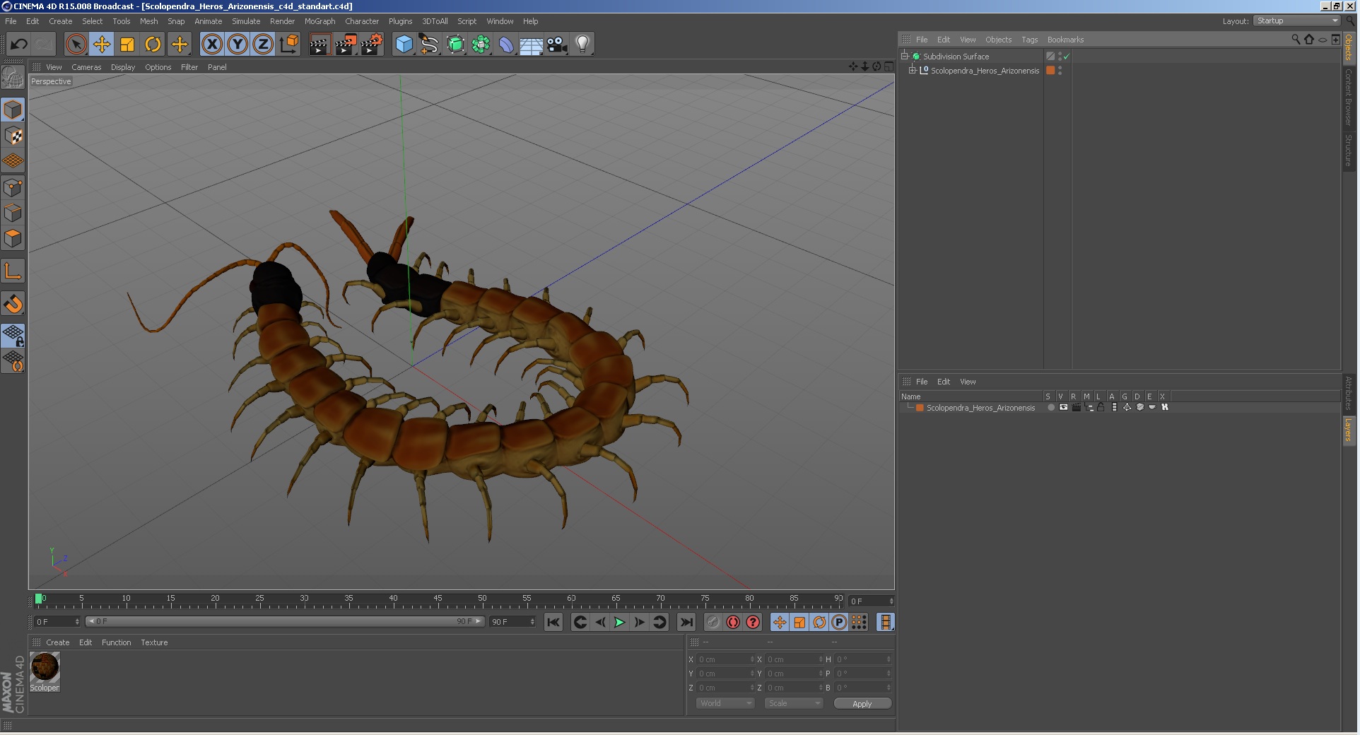 Scolopendra Heros Arizonensis 3D model