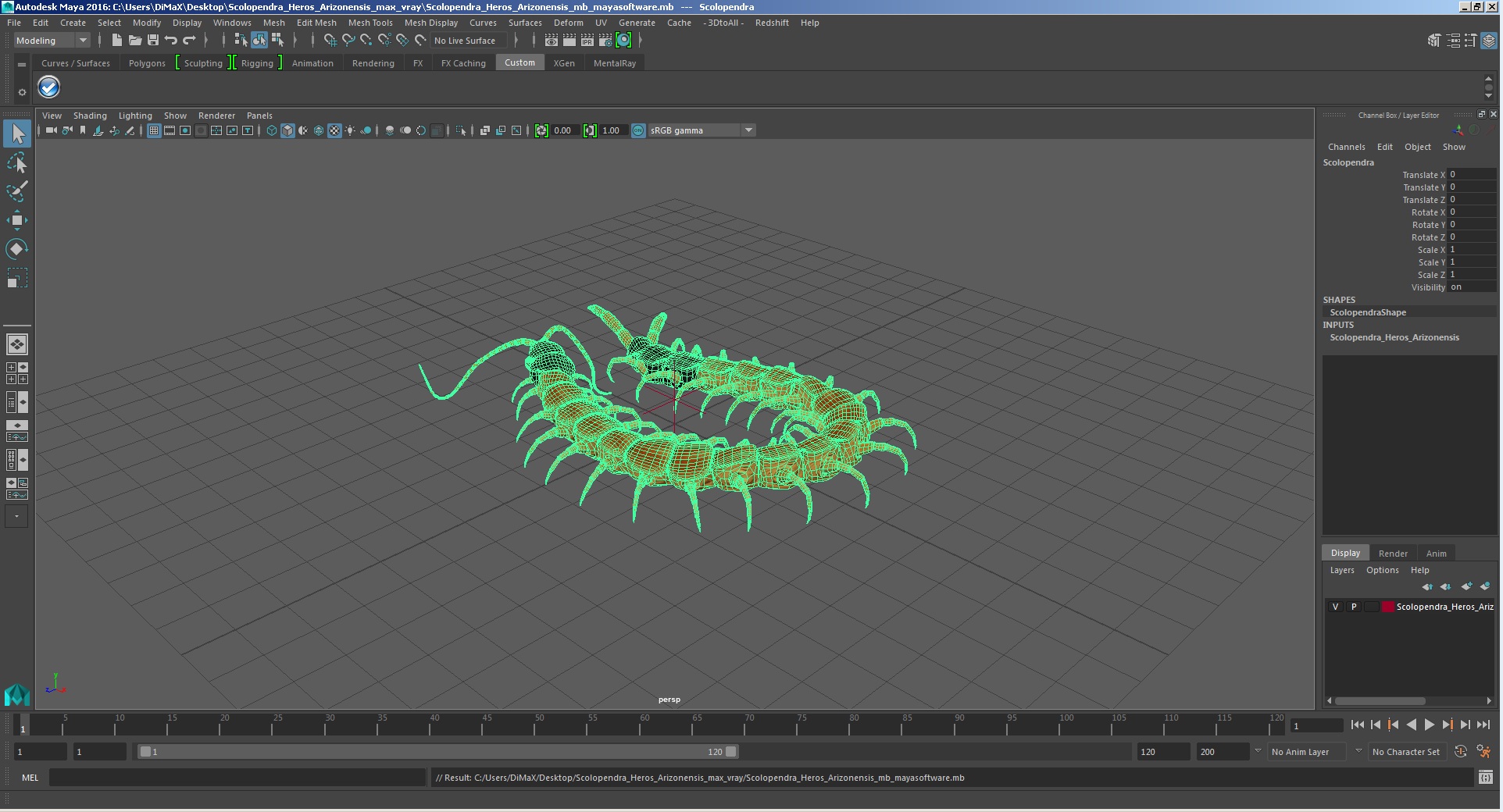 Scolopendra Heros Arizonensis 3D model