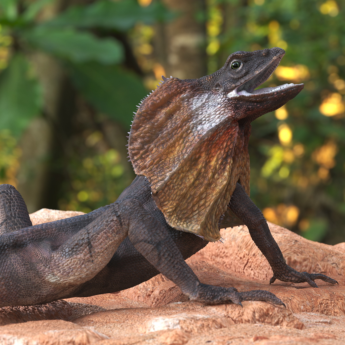 3D Frillneck Lizard Rigged model