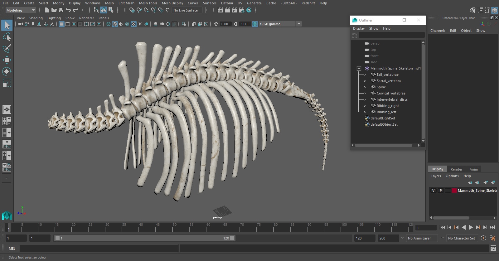 Mammoth Spine Skeleton 3D
