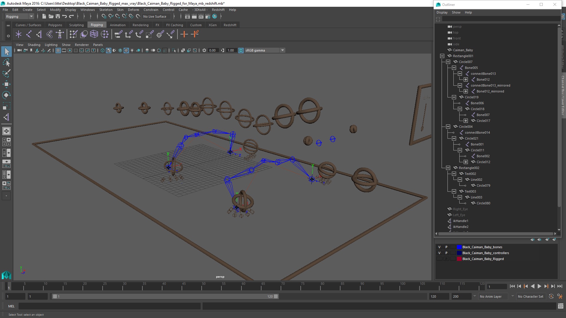 3D Black Caiman Baby Rigged for Maya model