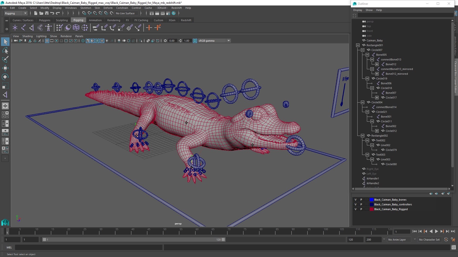 3D Black Caiman Baby Rigged for Maya model