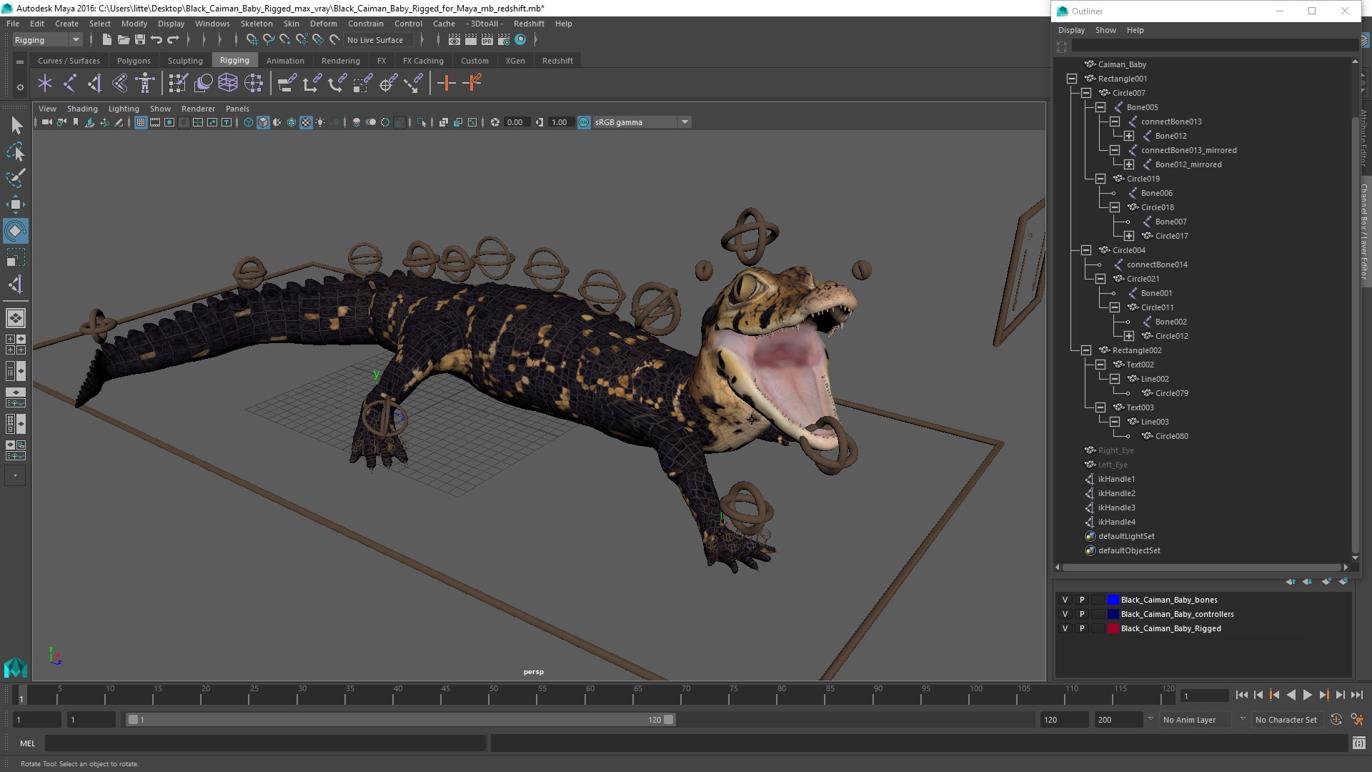 3D Black Caiman Baby Rigged for Maya model