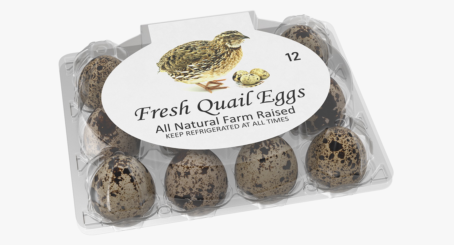 Quail Eggs Plastic Box 3D