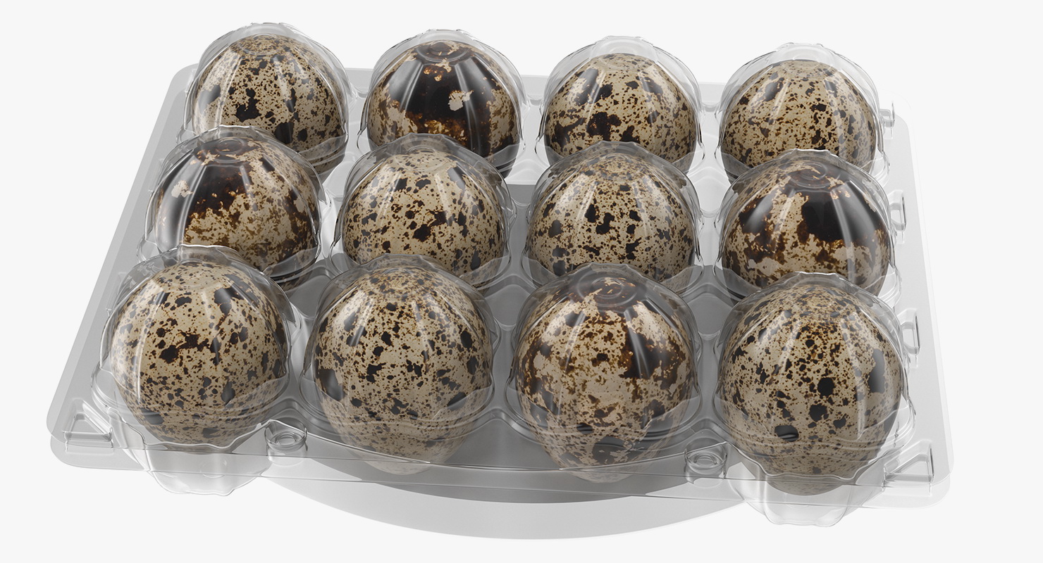 Quail Eggs Plastic Box 3D