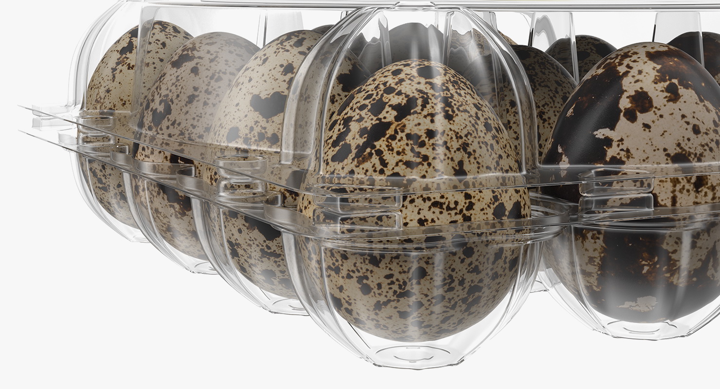 Quail Eggs Plastic Box 3D