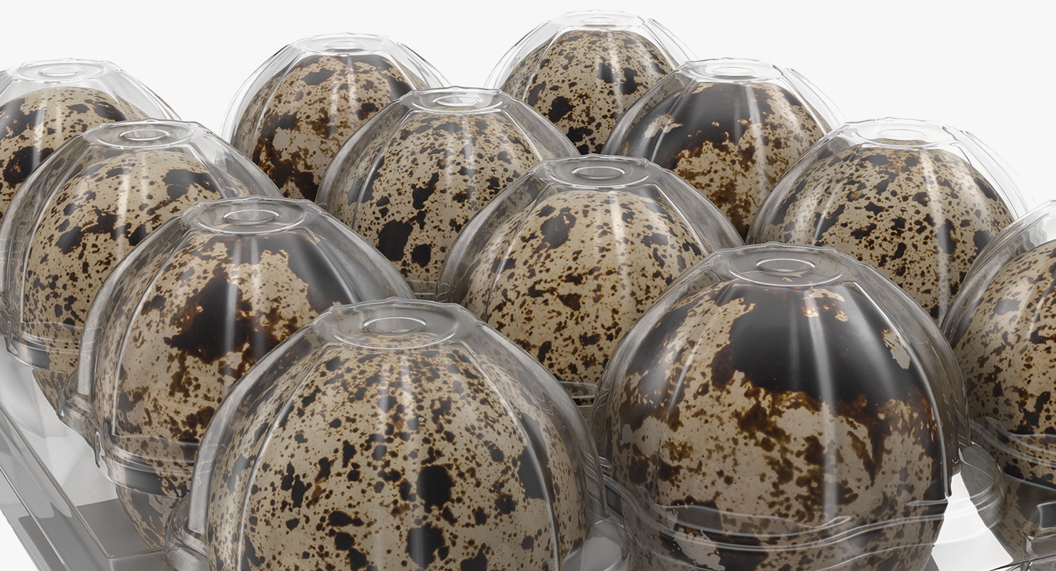 Quail Eggs Plastic Box 3D