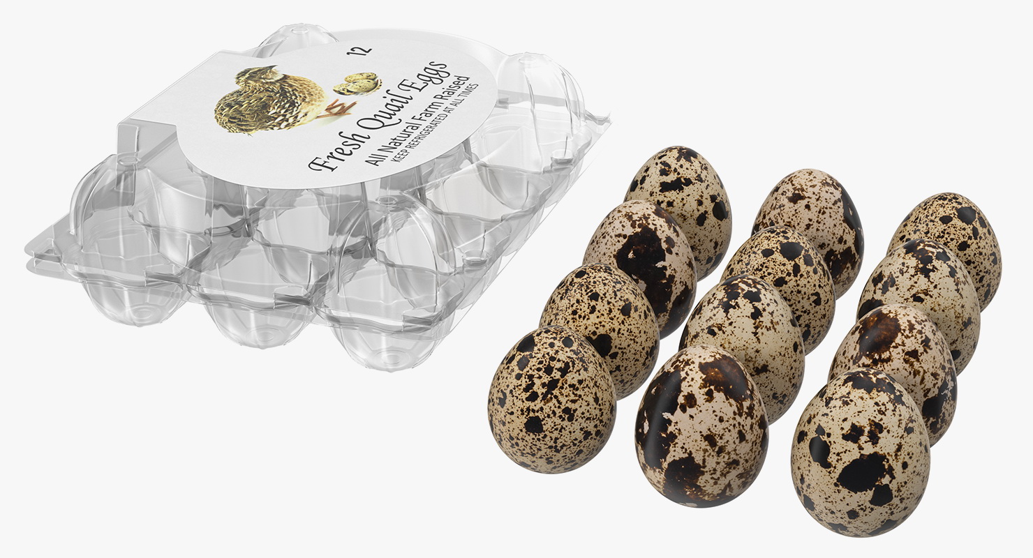 Quail Eggs Plastic Box 3D