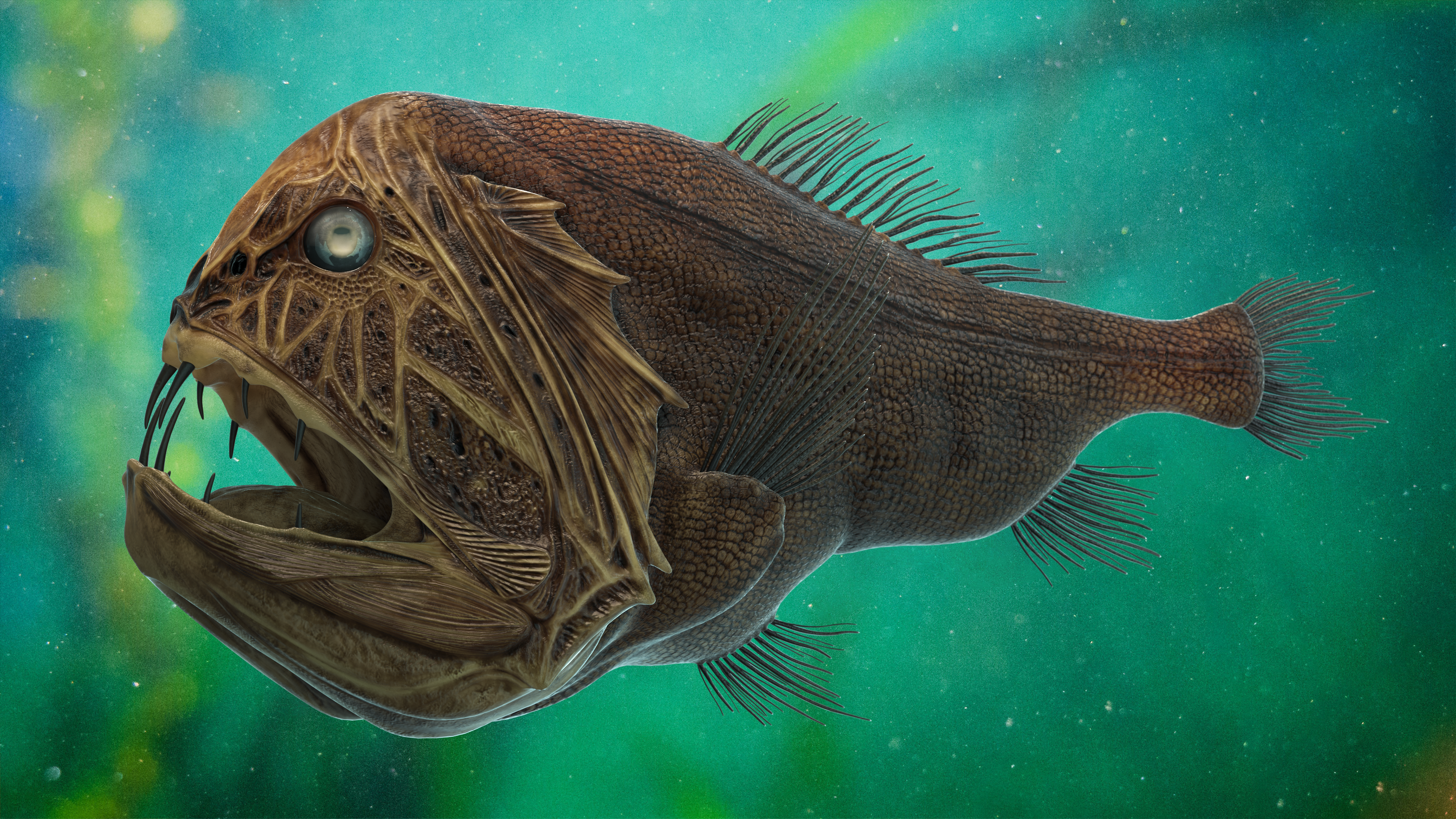 Fangtooth Fish Anoplogaster Cornuta, view 11