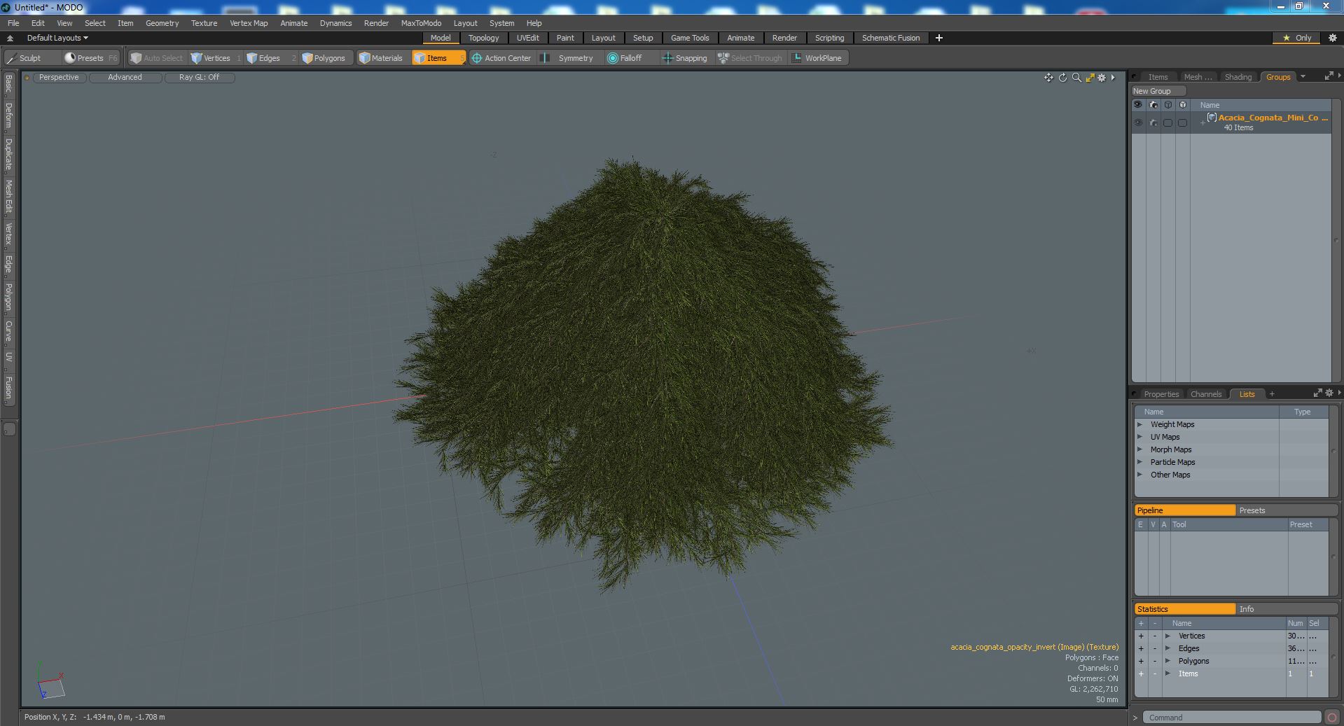3D Acacia Cognata Mini Cog model
